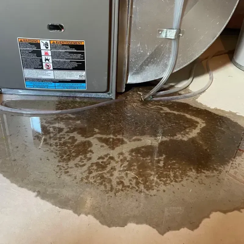 Appliance Leak Cleanup in Harrisburg, NE